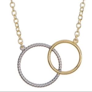 Rivka Friedman two-toned interlocking Circle necklace